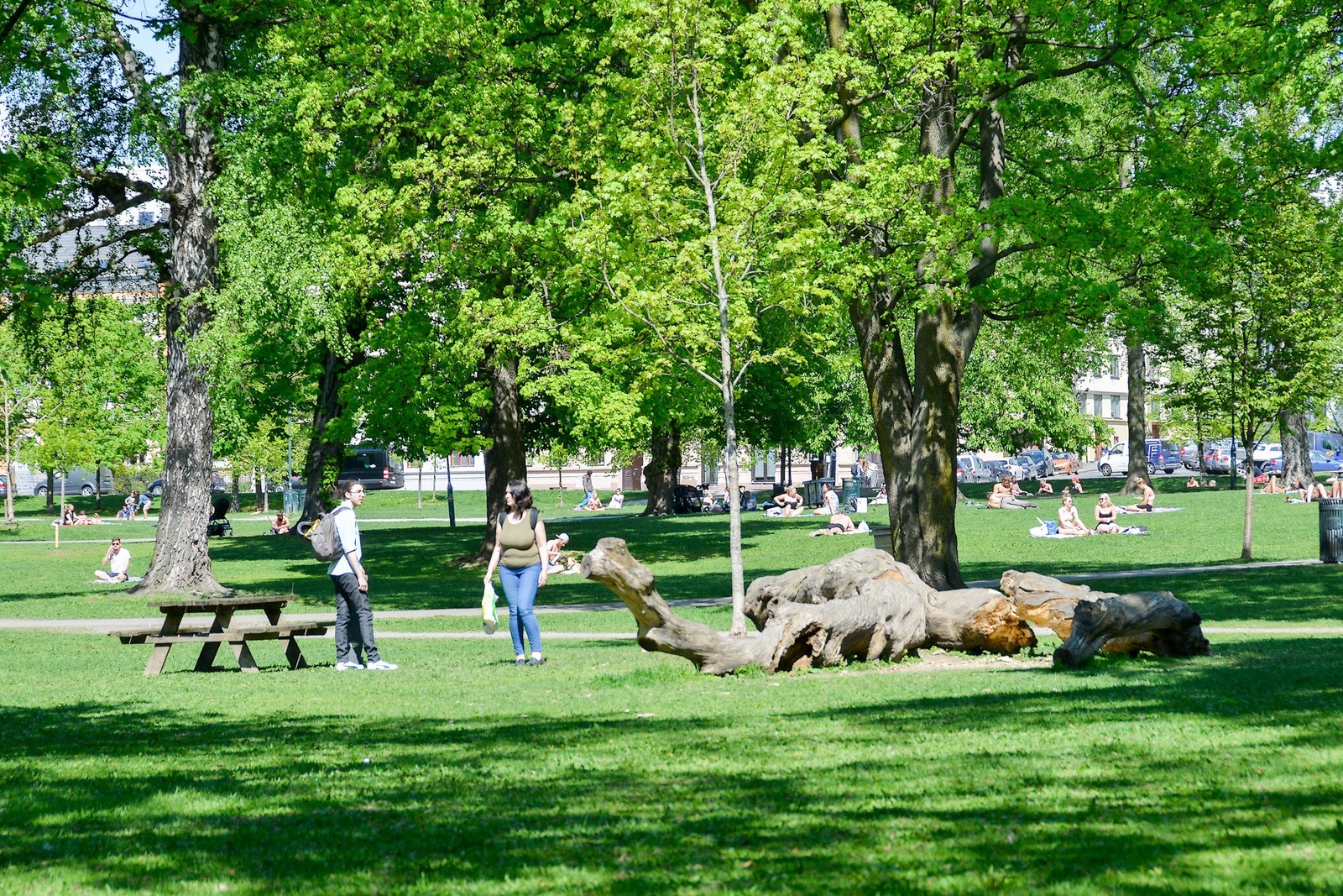 Parken fungerer som et naturlig samlingspunkt for beboere i området, både sommer og vinter. Galleribilde