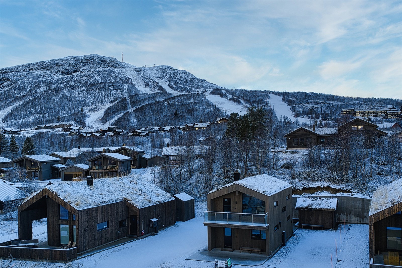 - Velkommen til Dyregrenda Sør 74 - Galleribilde