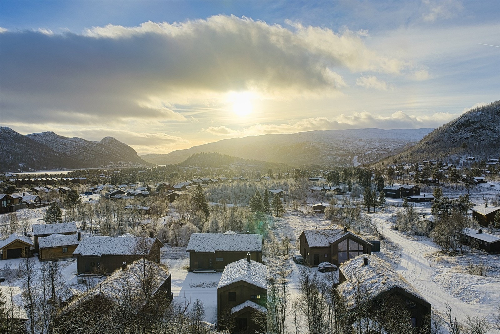 - Velkommen til Dyregrenda Sør 74 - Galleribilde