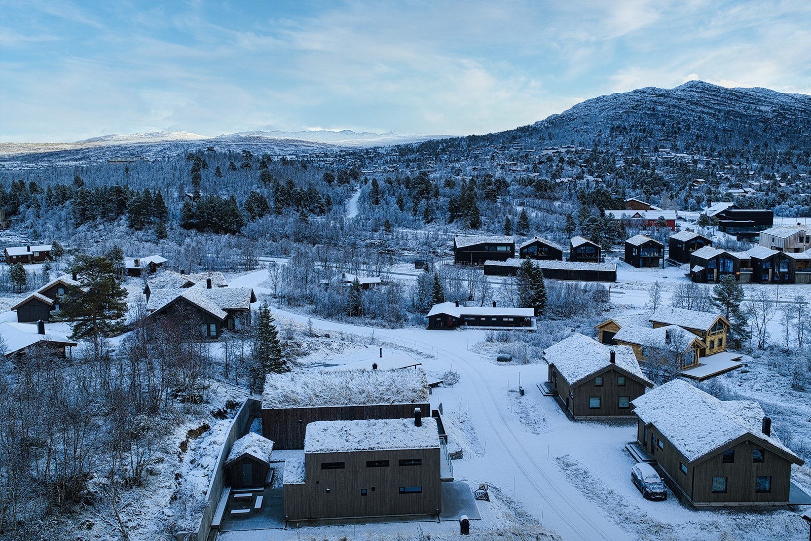 - Velkommen til Dyregrenda Sør 74 - Galleribilde