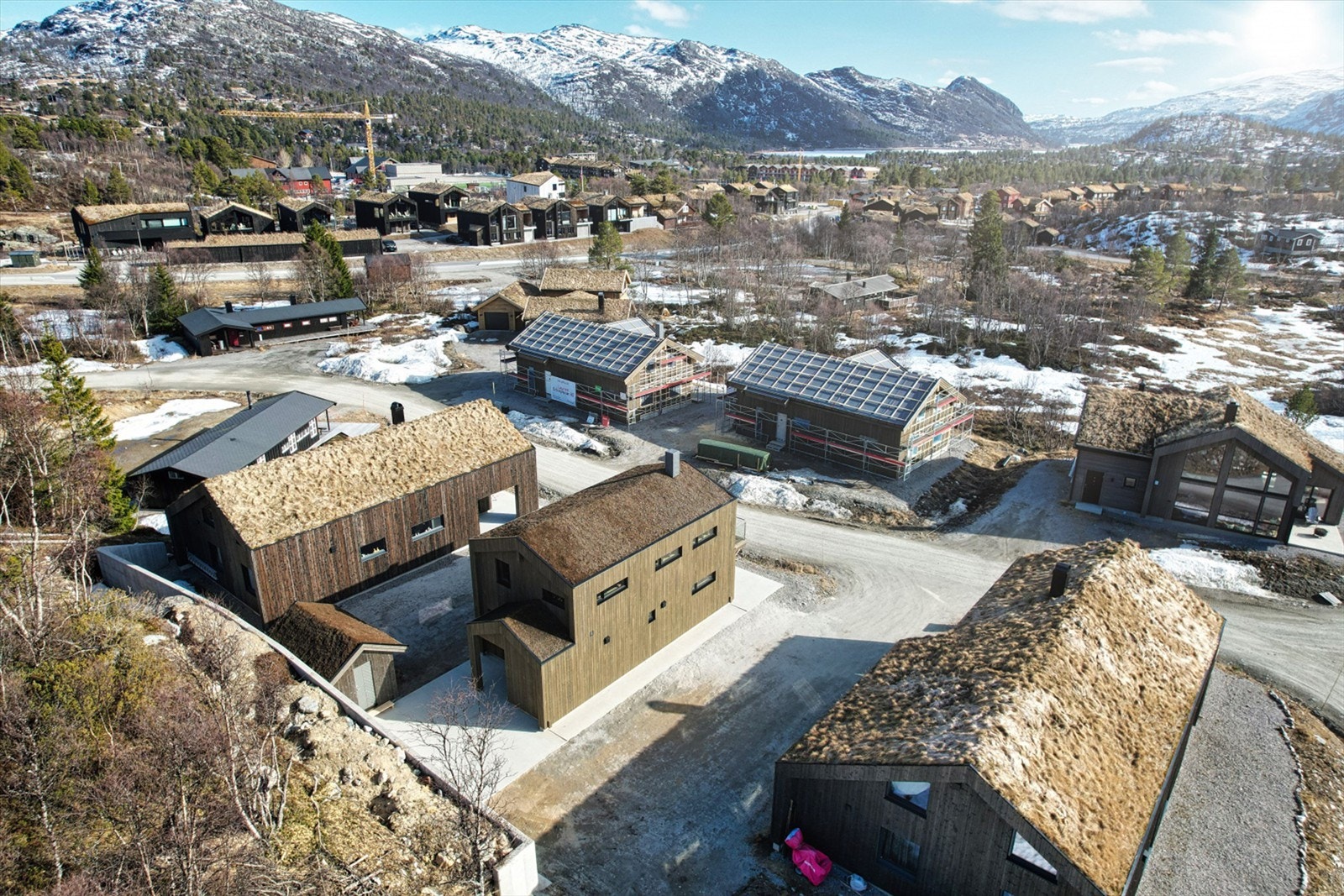 - Velkommen til Dyregrenda Sør 74 - Galleribilde