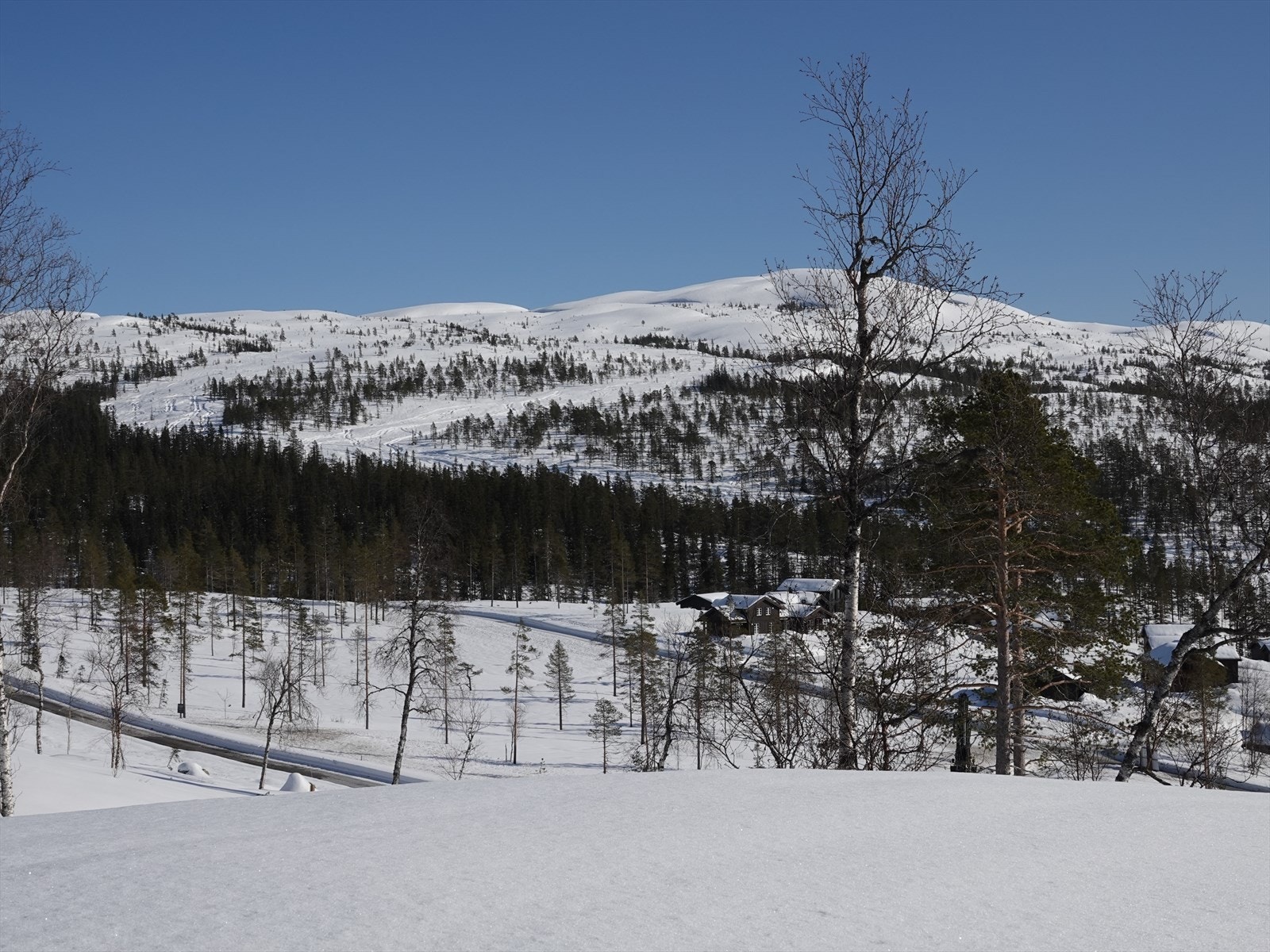 Her har vi også flere byggeklare tomter med ulike beliggenheter. Se kart og ta kontakt for visning - Mvh Nordvik Bolig v/ Christer Barman Gabrielsen - 950 41 364 Galleribilde