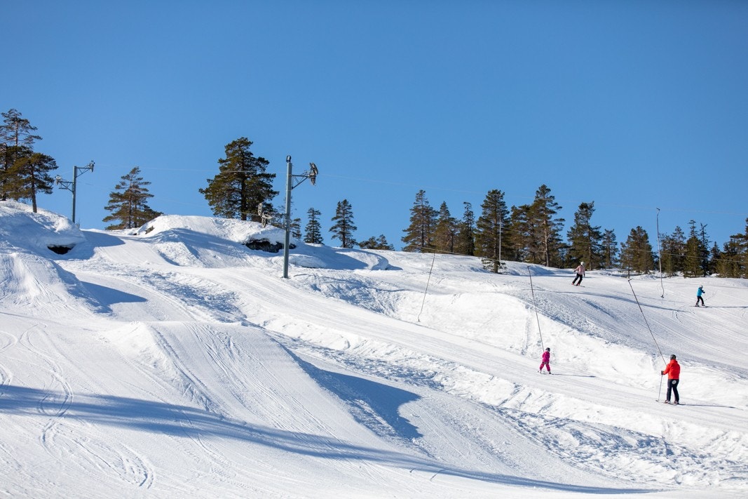 Blefjellheisen er en familievennlig alpinbakke med 3 nedfarter. Det er også et godt utgangspunkt for flotte turer både om sommeren og vinteren Galleribilde