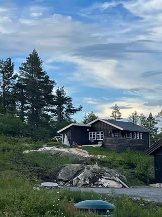 Sommer. Galleribilde