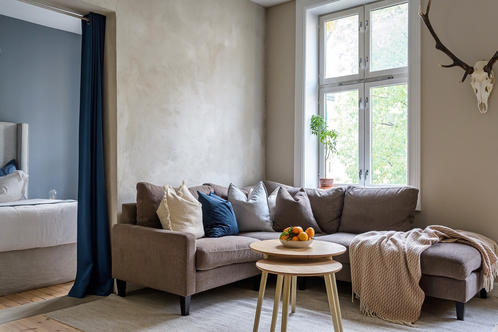 Store vindusflater sørger for rikelig med naturlig lys inn. Galleribilde