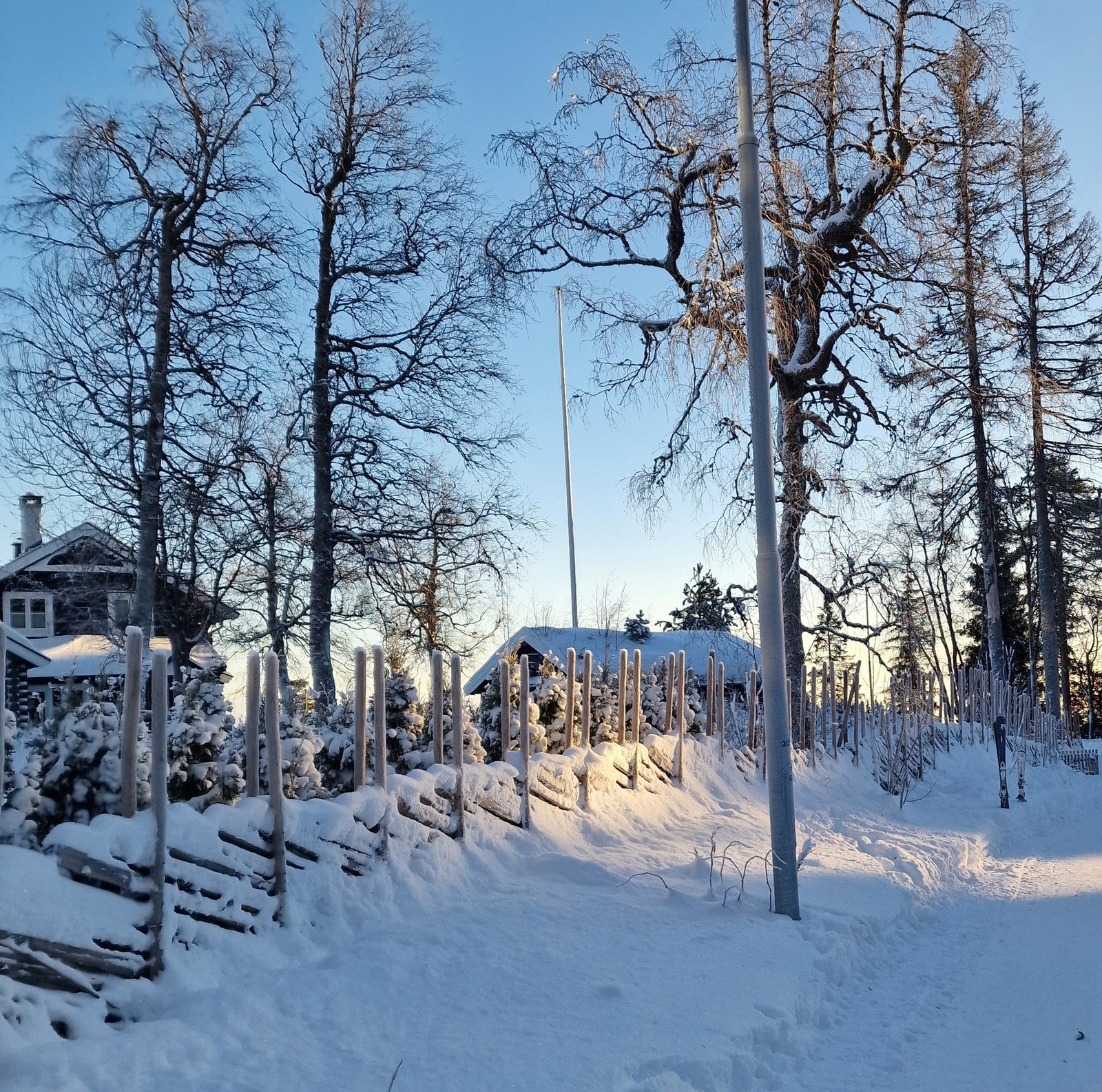 Selgers egne bilder fra nærområdet. Galleribilde