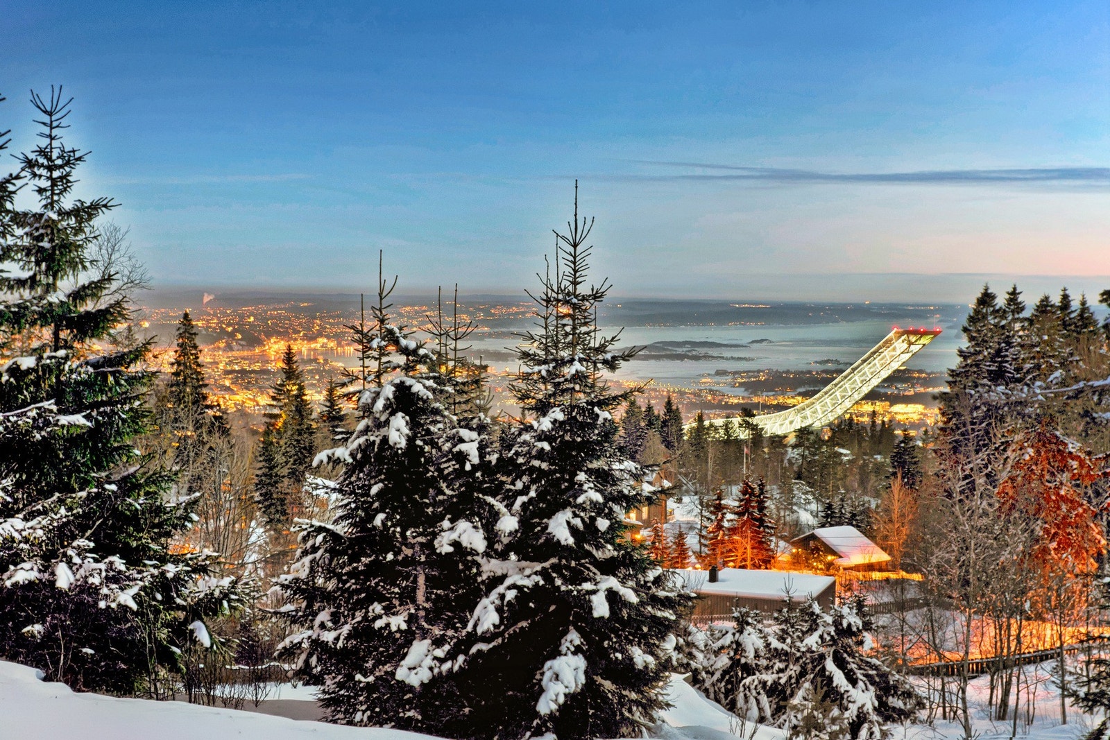 Holmenkollen og Oslofjorden. Galleribilde