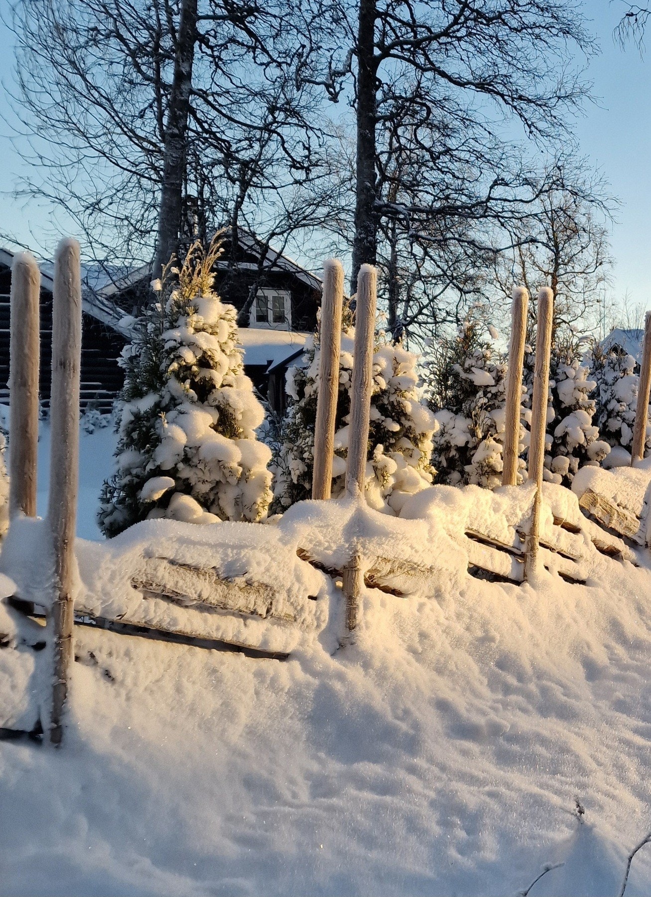 Selgers egne bilder fra nærområdet. Galleribilde