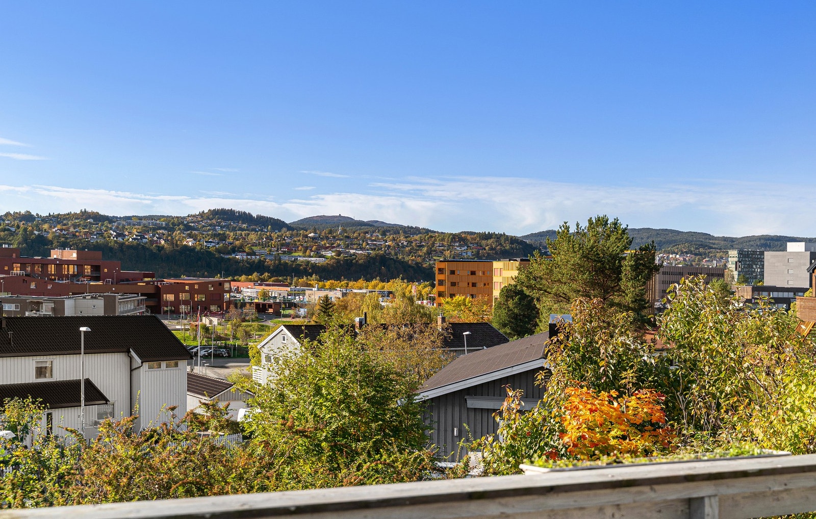 Utsikt. Galleribilde