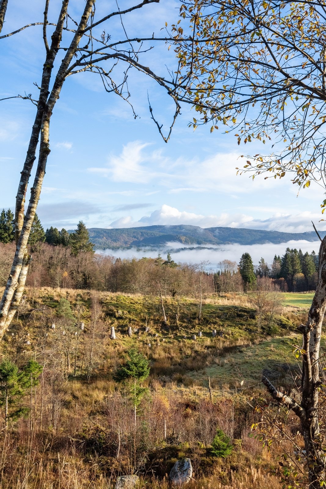 Landlig og solrik beliggenhet med fin utsikt. Galleribilde