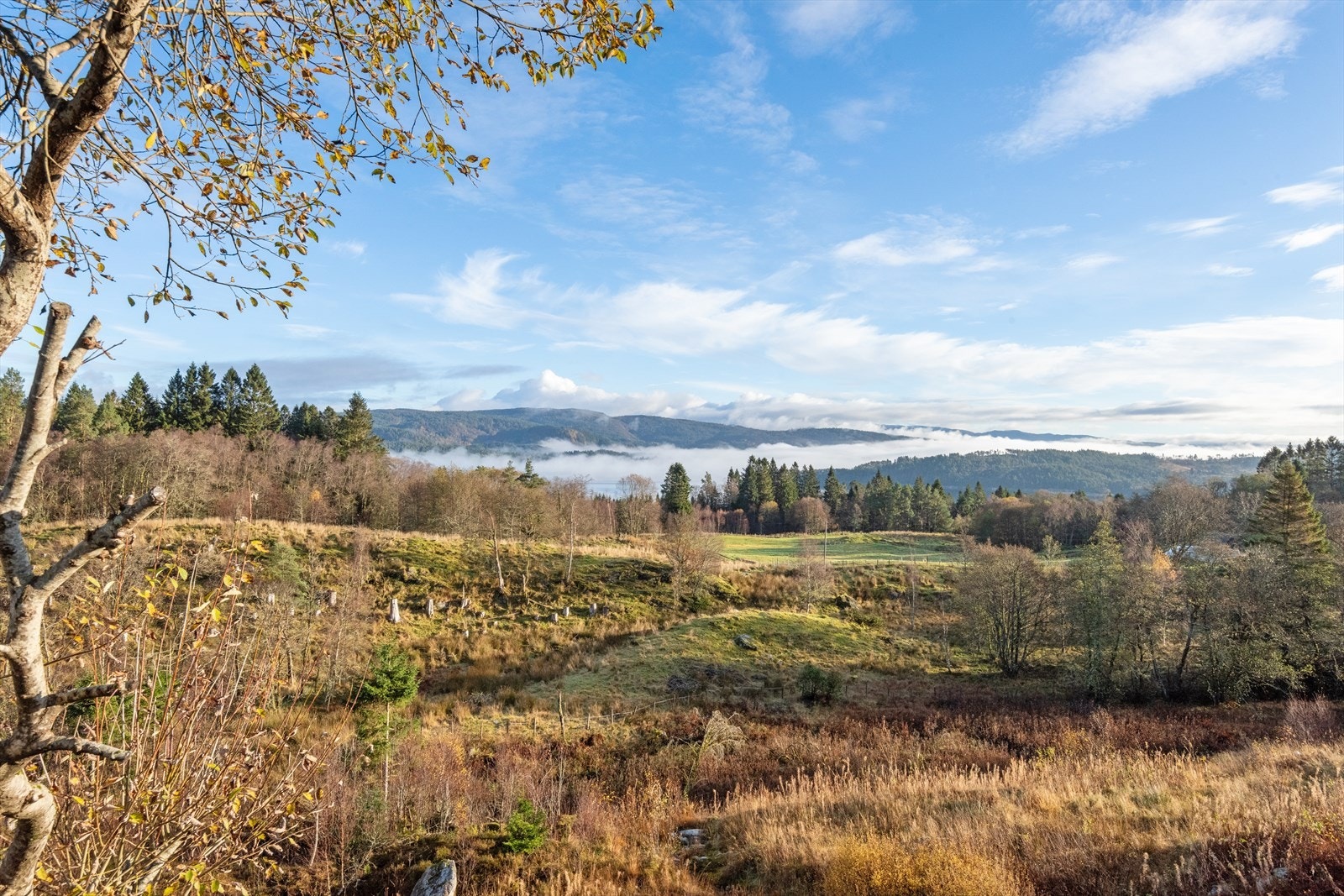 Landlig og fri beliggenhet Galleribilde