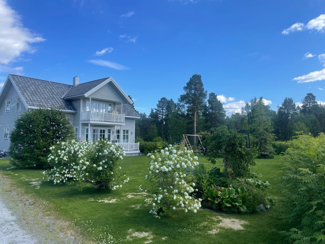 Sommer (Selgers eget bilde) Galleribilde