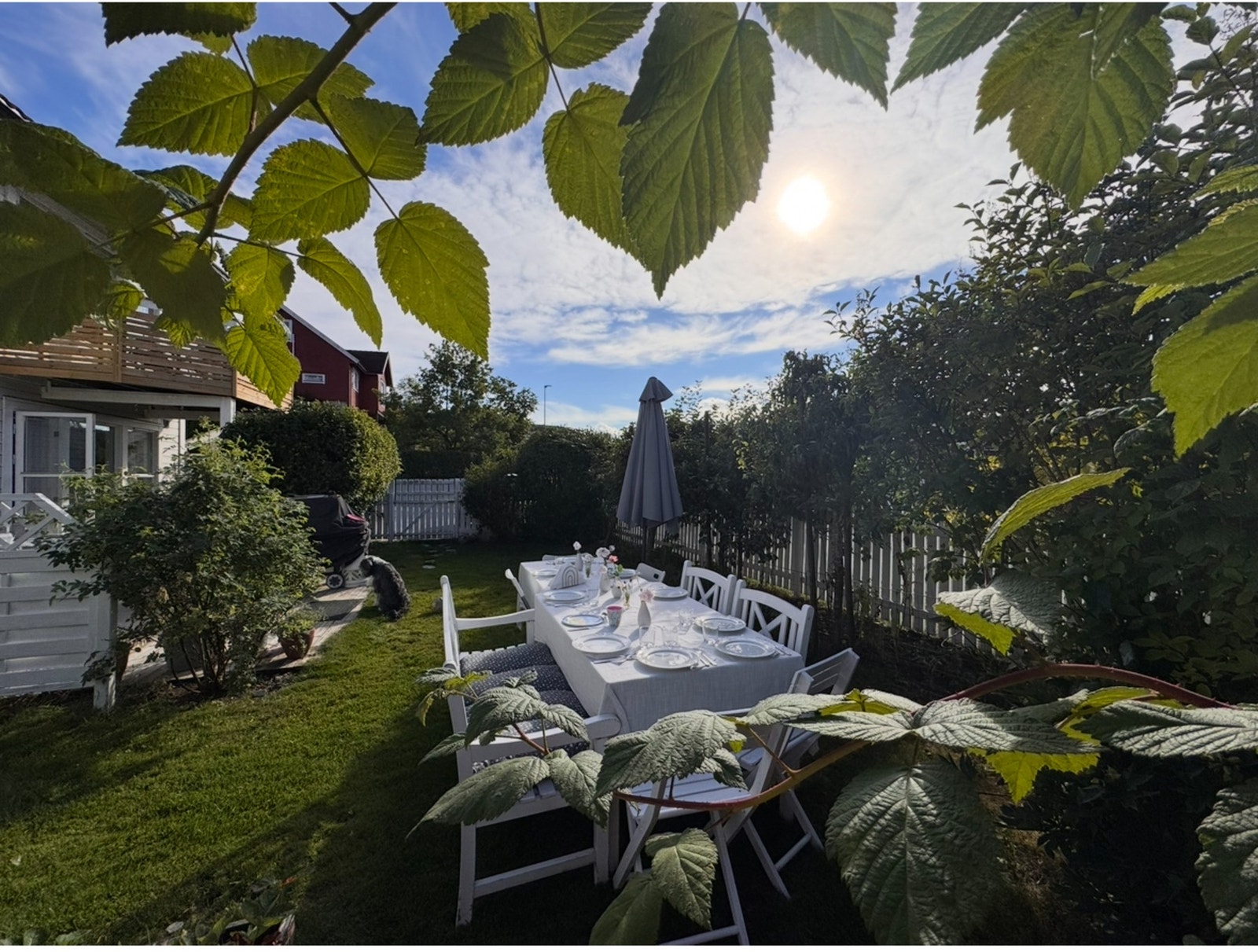 Selgers egne bilder fra sommer. Galleribilde