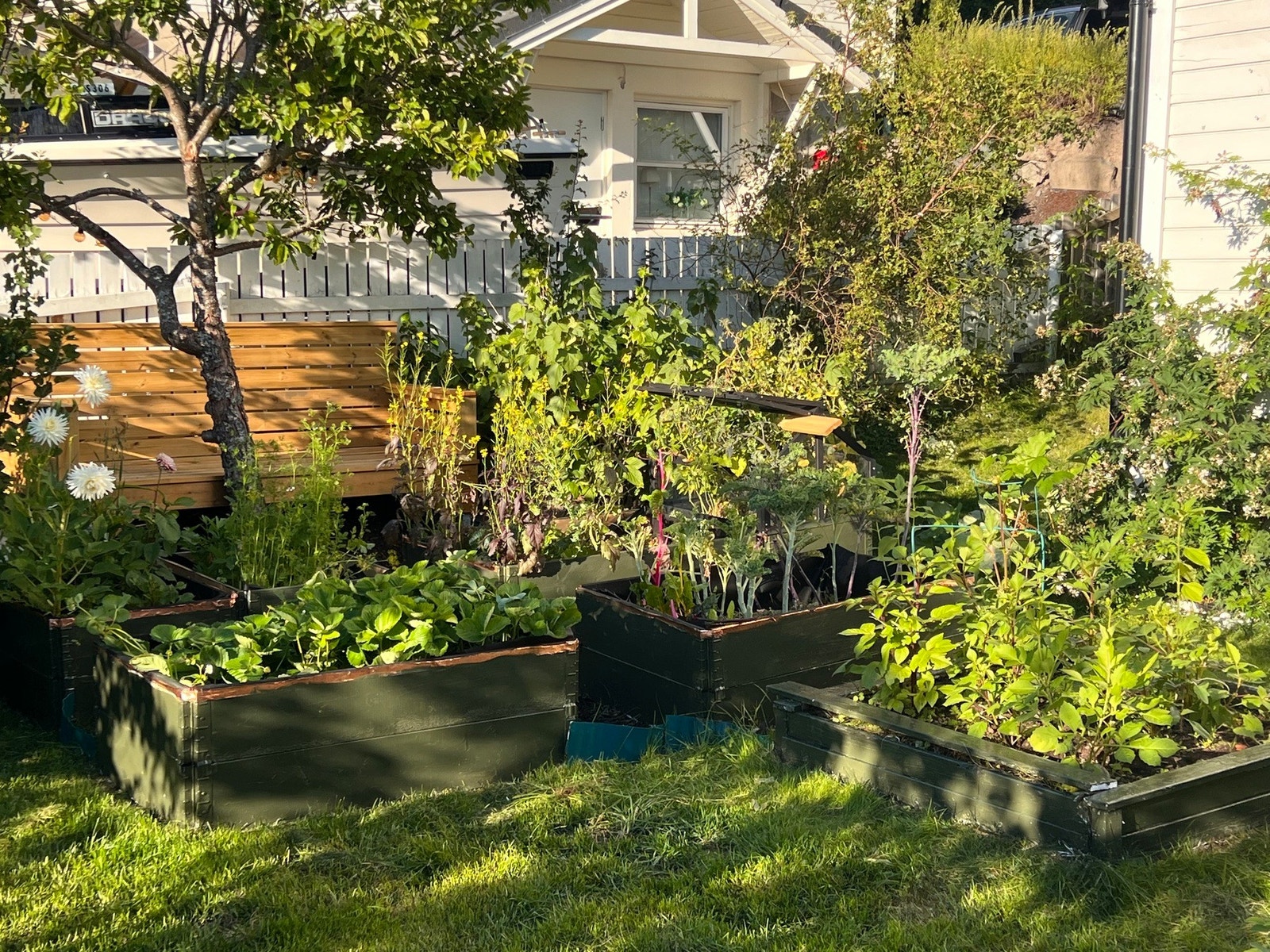 Selgers egne bilder fra sommer. Galleribilde