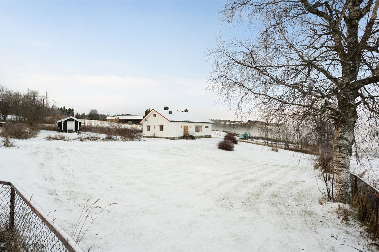 Tomten er primært opparbeidet med plen og gir et godt utgangspunkt. Galleribilde