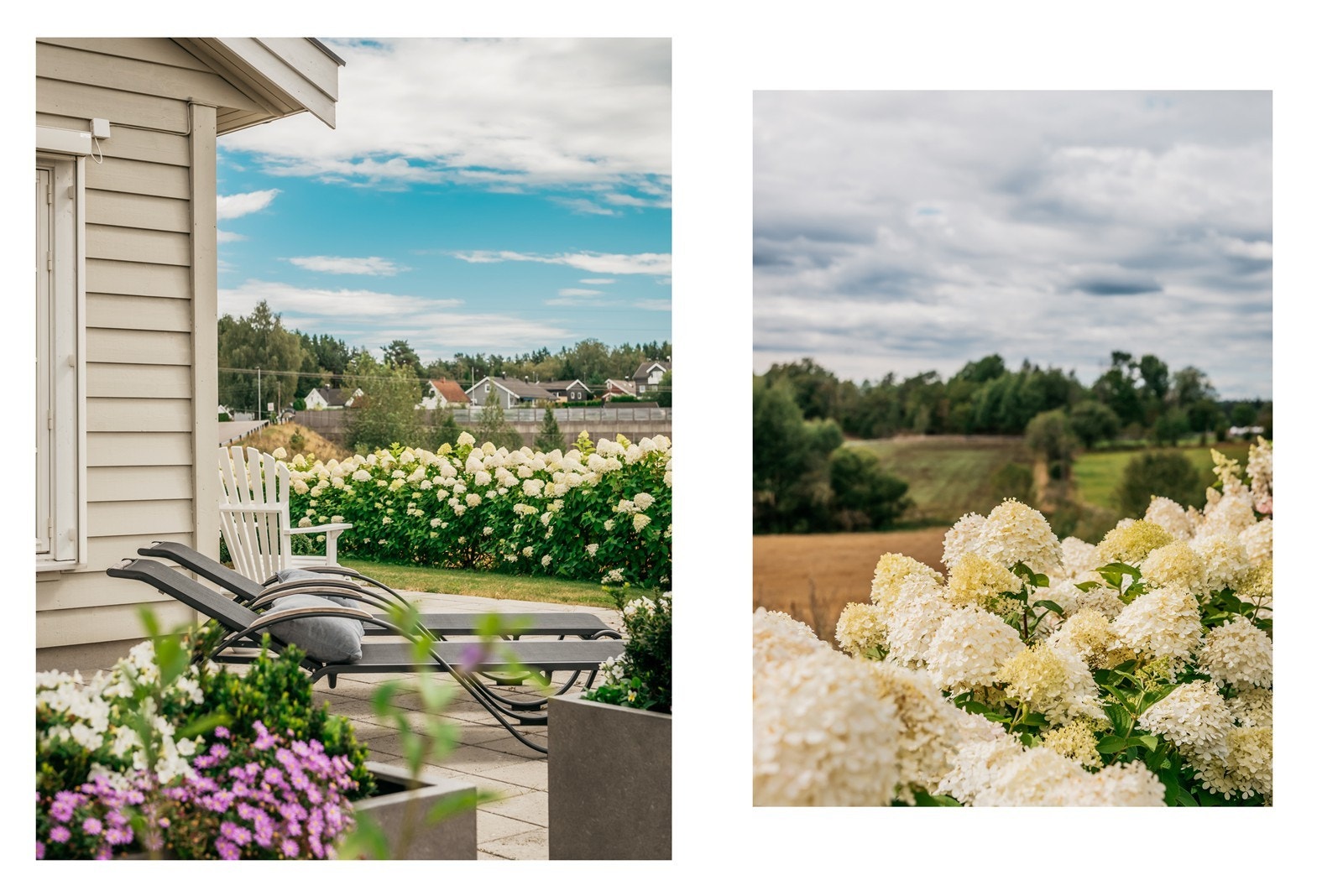 I Hemsgata 30 finner du roen Galleribilde