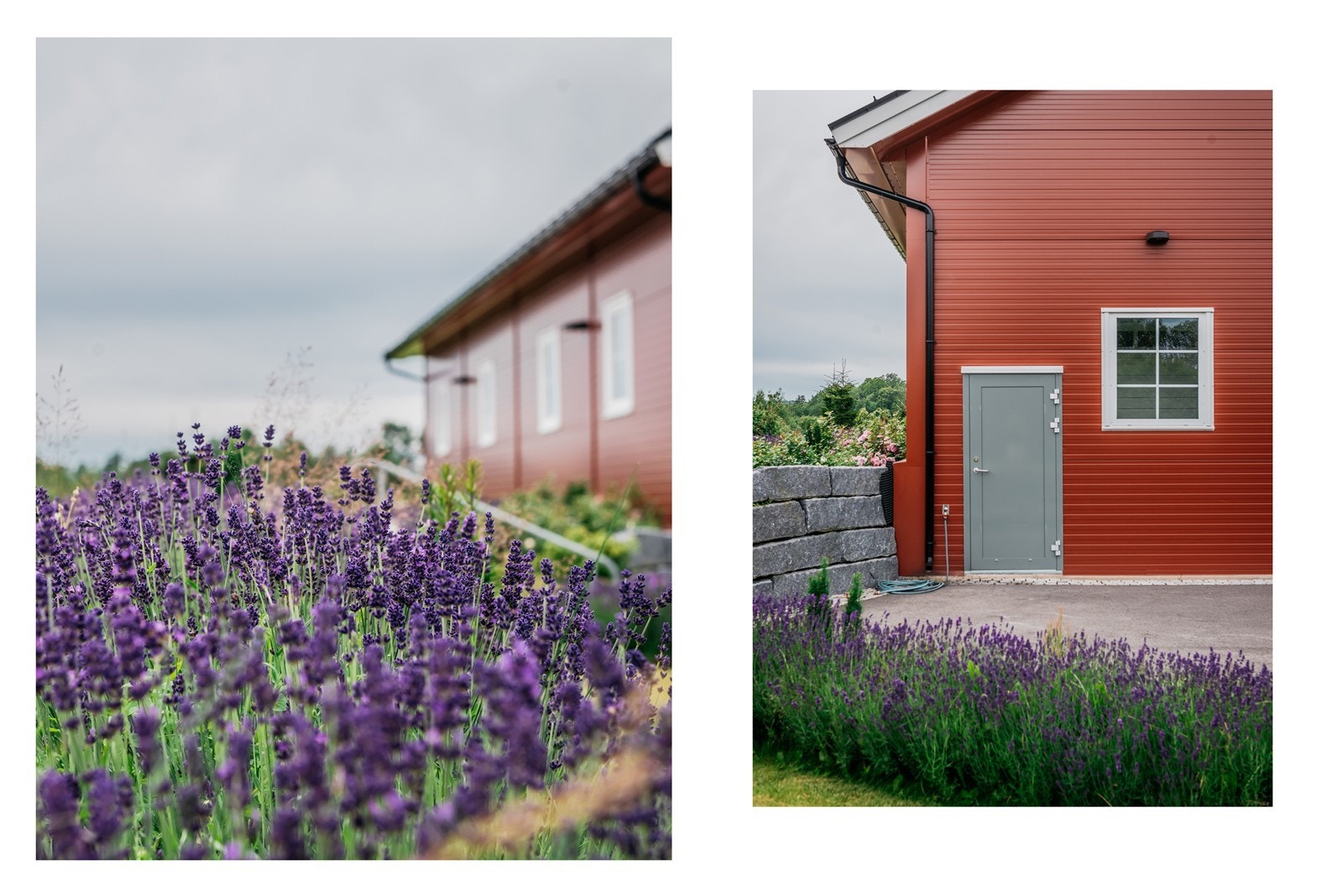 Godt gjennomført hagearbeid Galleribilde