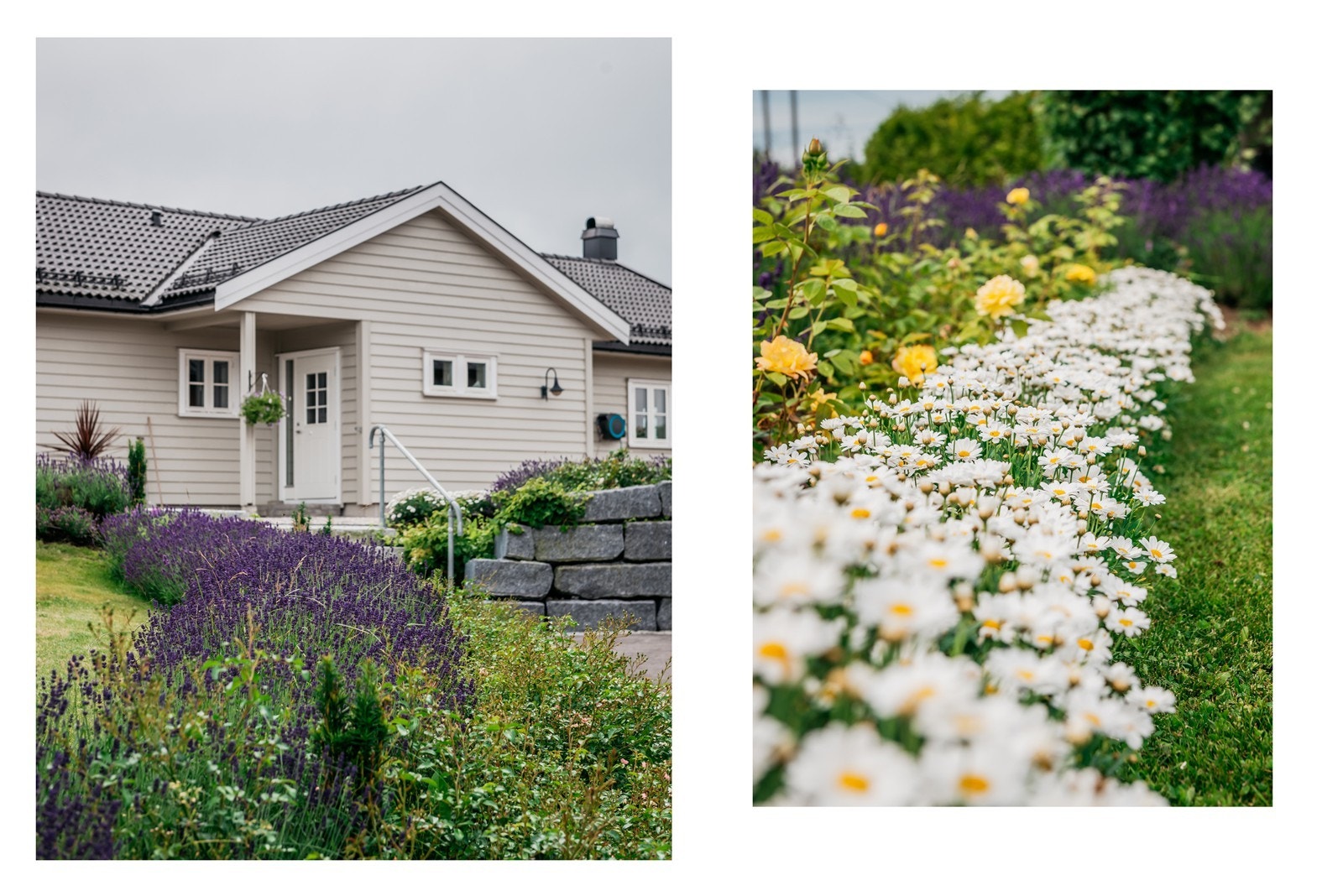 Pent stelt uteområde Galleribilde