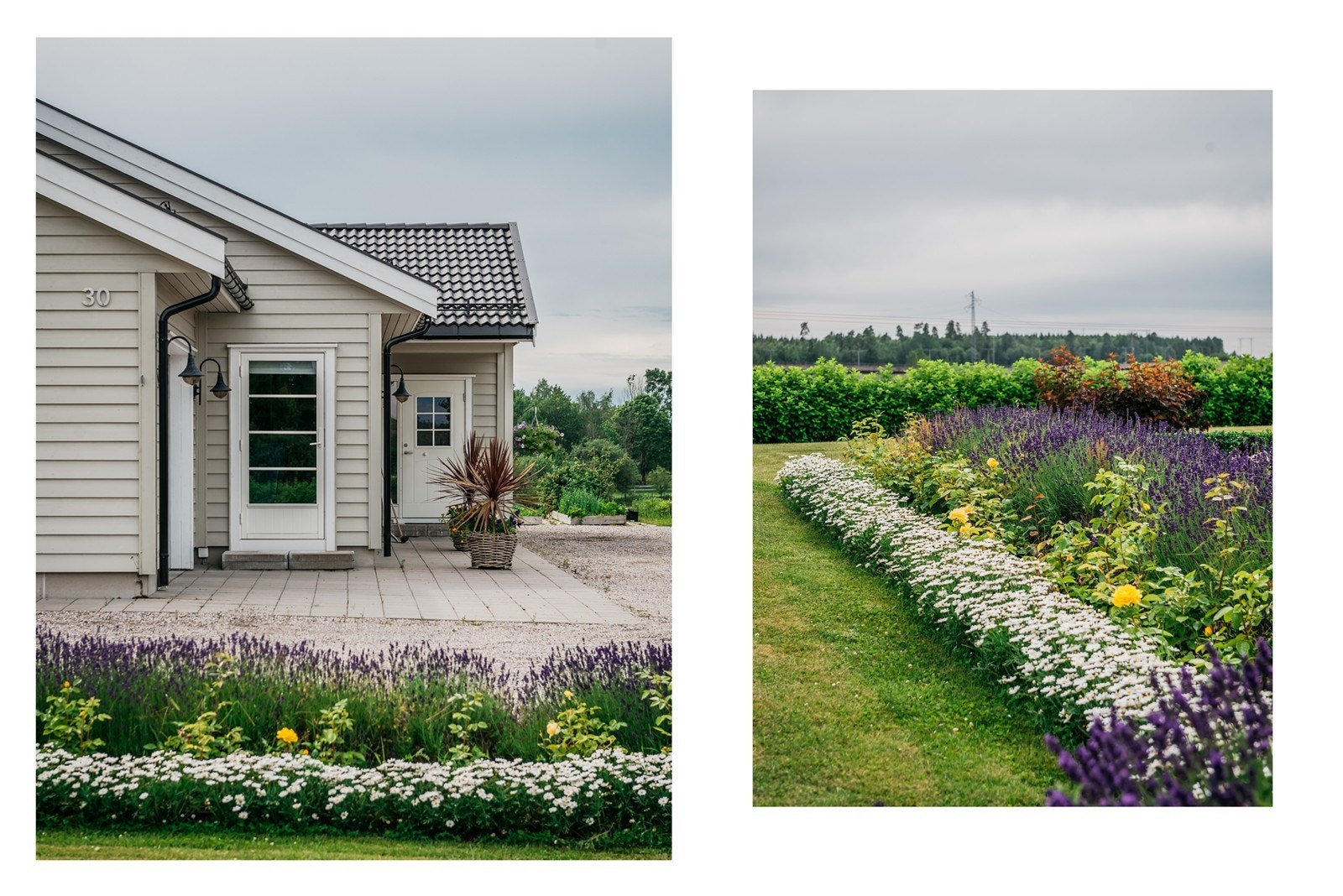 La oss starte med en omvisning av tomten Galleribilde