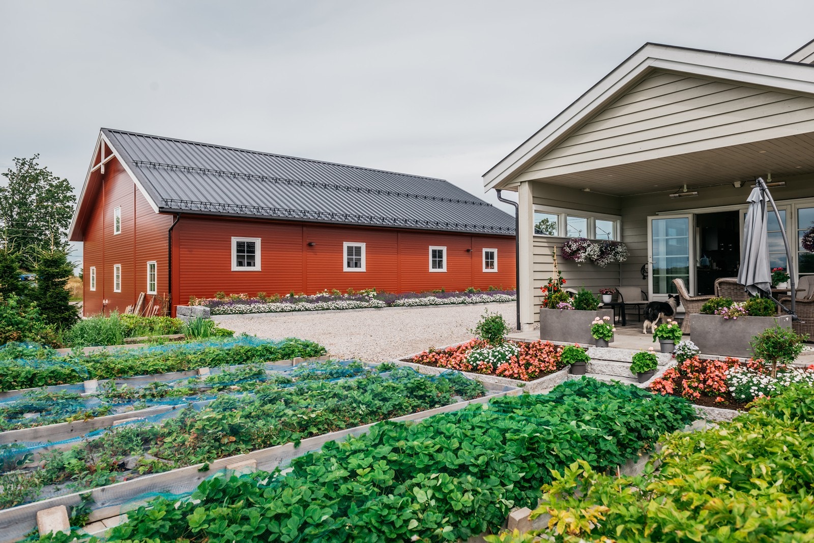 Her har du også et område til å prøve dyrking selv Galleribilde