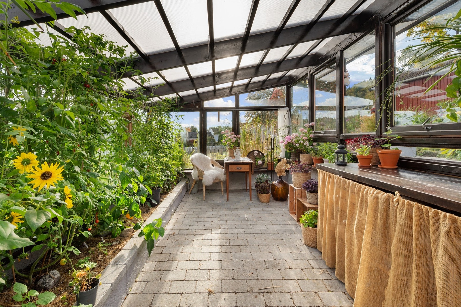 Gjennomført innredet drivhus med koselig sittesone og arbeidsområde. Galleribilde