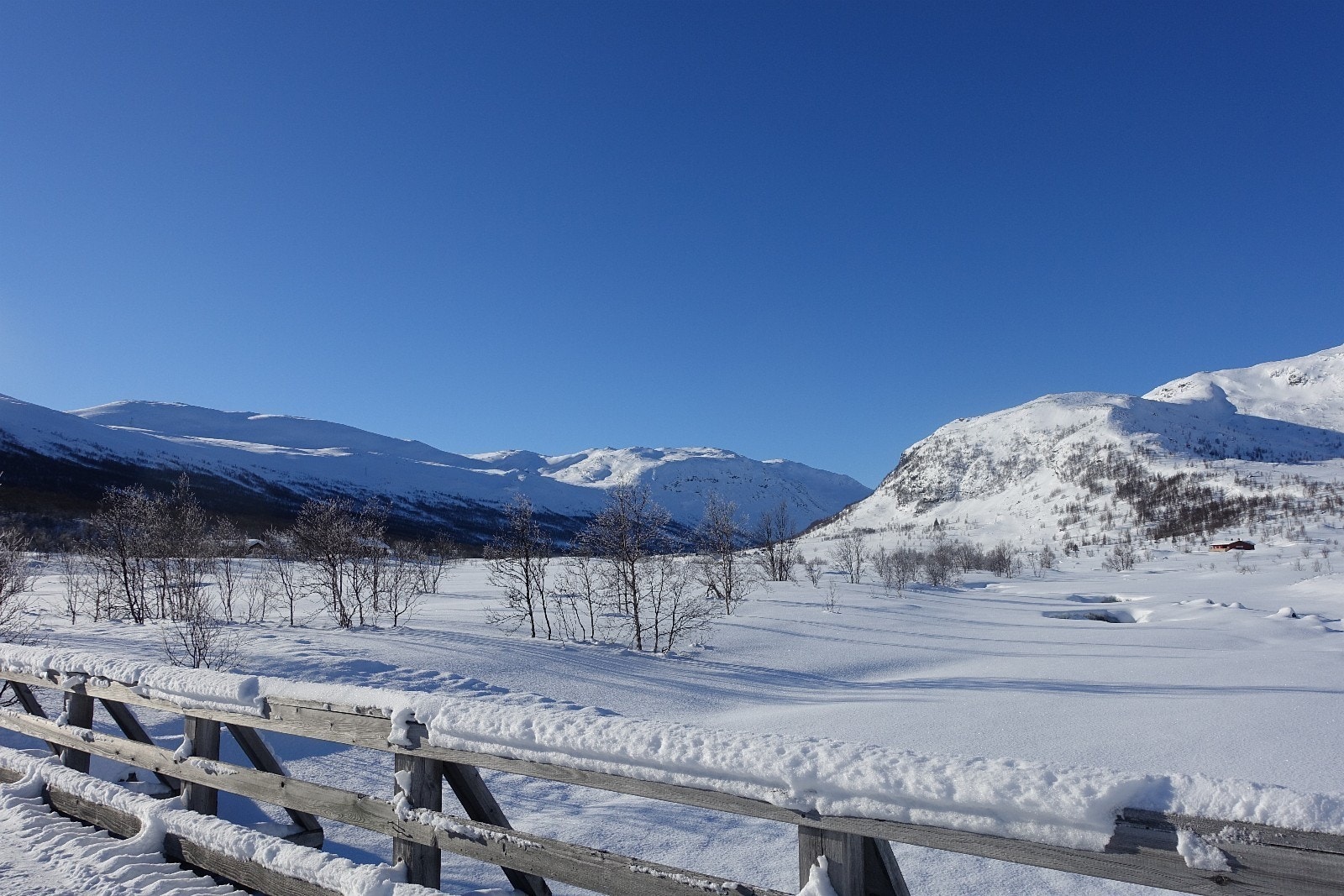 Velkommen til Hemsedalsfjellet og en flott ubebygd tomt i Hemsedalsvegen 4687. Galleribilde
