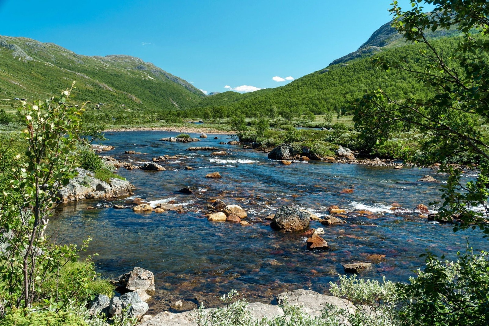 Kort avstand til Storeskadsvatn. Galleribilde