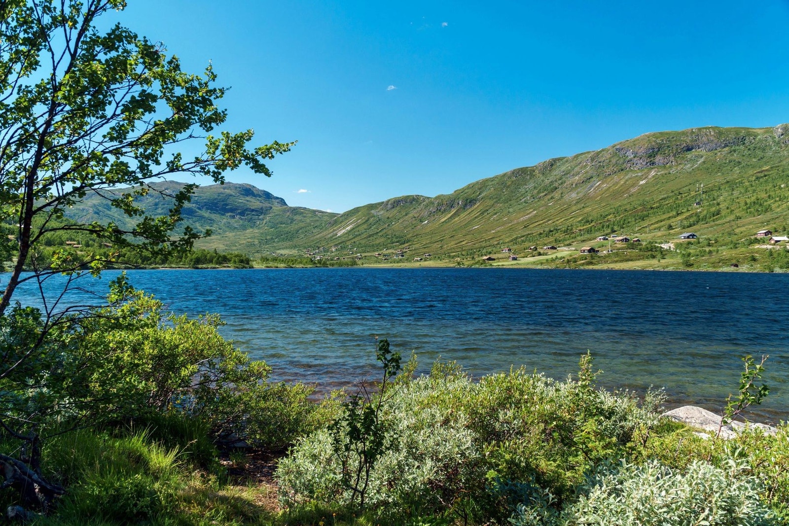 Naturskjønne Hemsedalsfjellet. Galleribilde