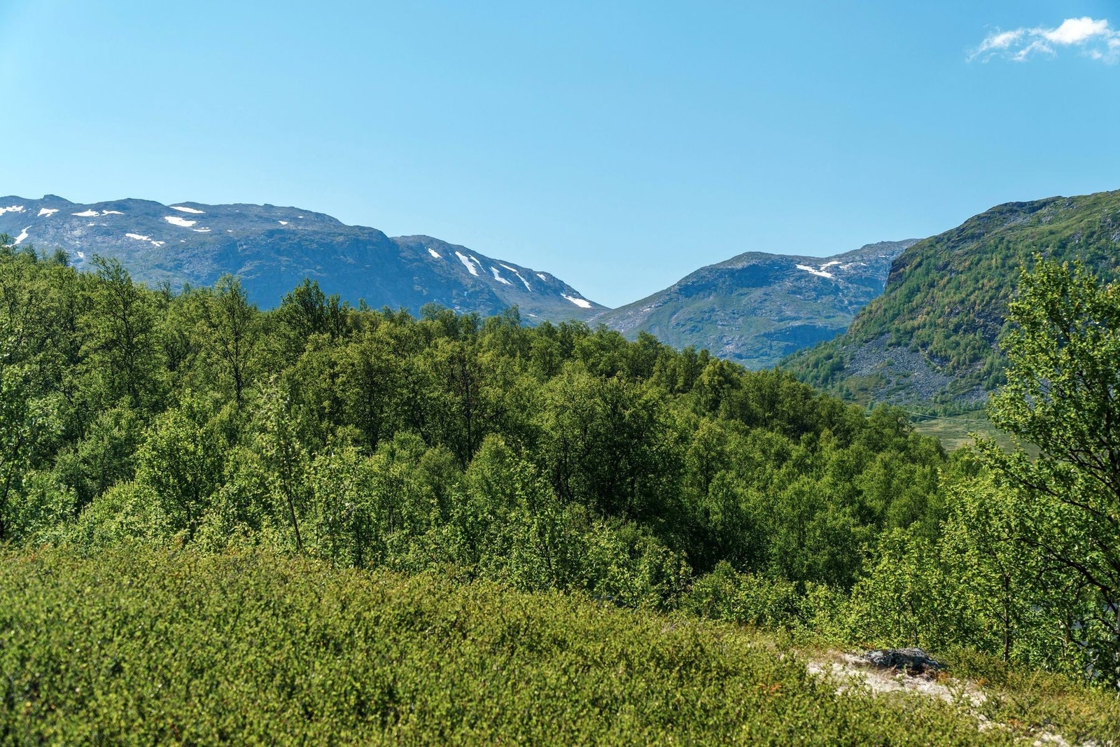 Hemsedalsfjellet er unikt sommer som vinter. Galleribilde