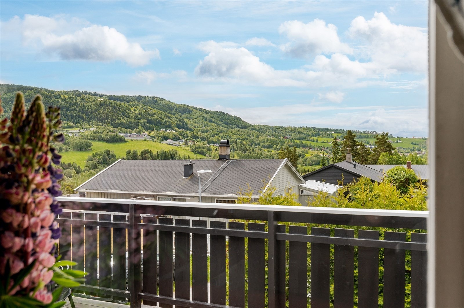 Utisikten fra terrassen. Galleribilde