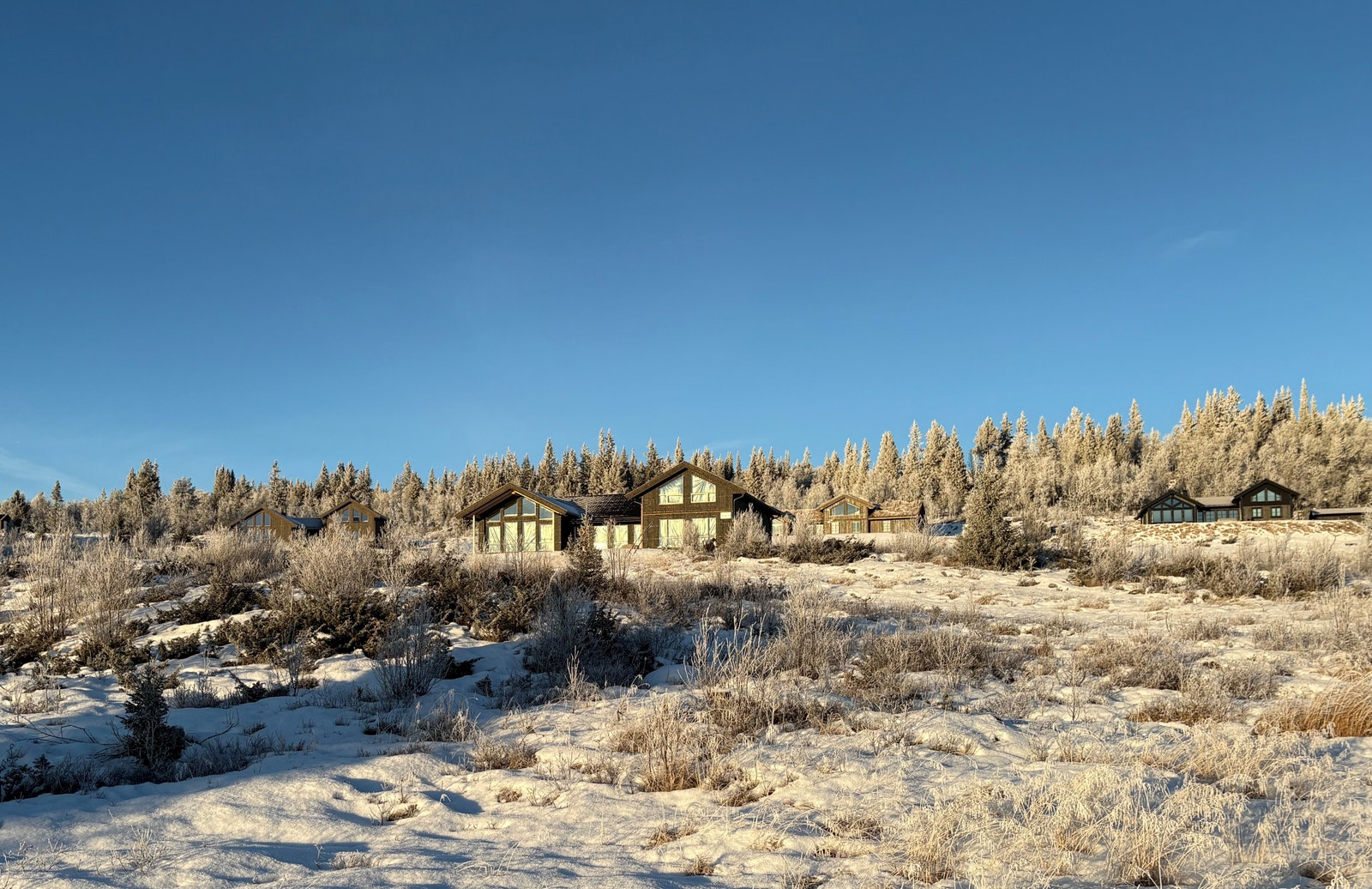 23.12.2025 Galleribilde