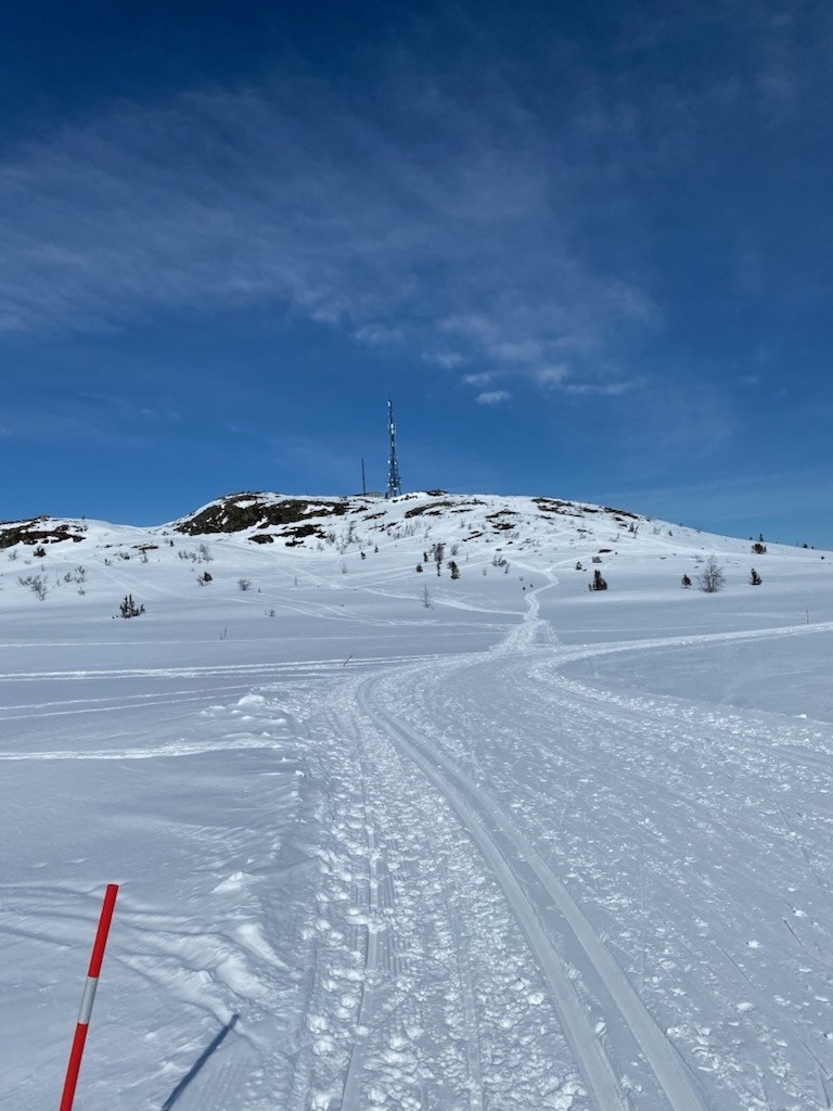 Mot Sangefjell Galleribilde