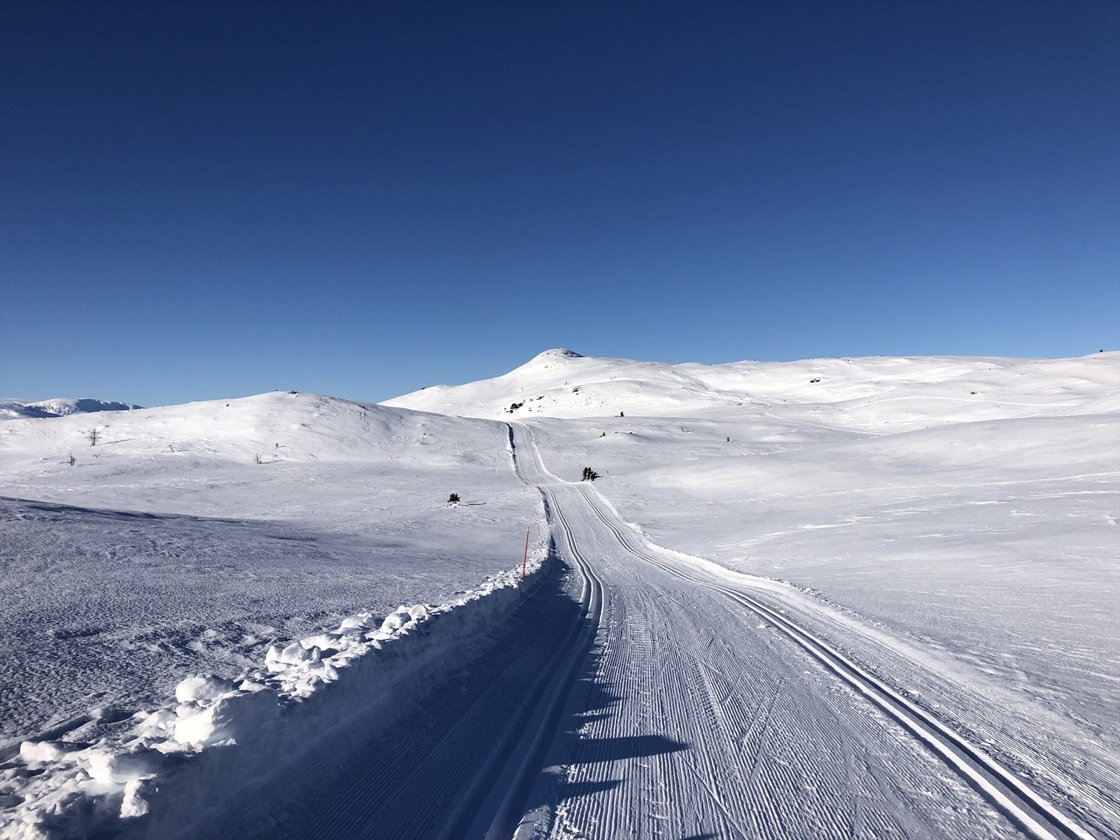 Flotte skiløyper Galleribilde
