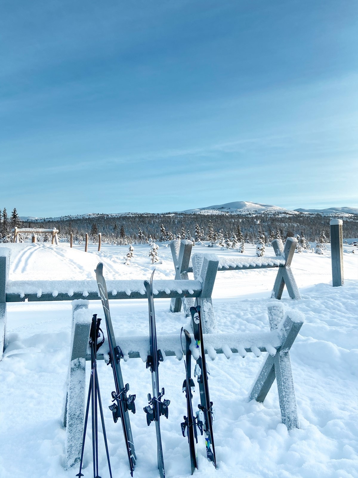 Turufjell, har aktiviteter for store og små året rundt Galleribilde