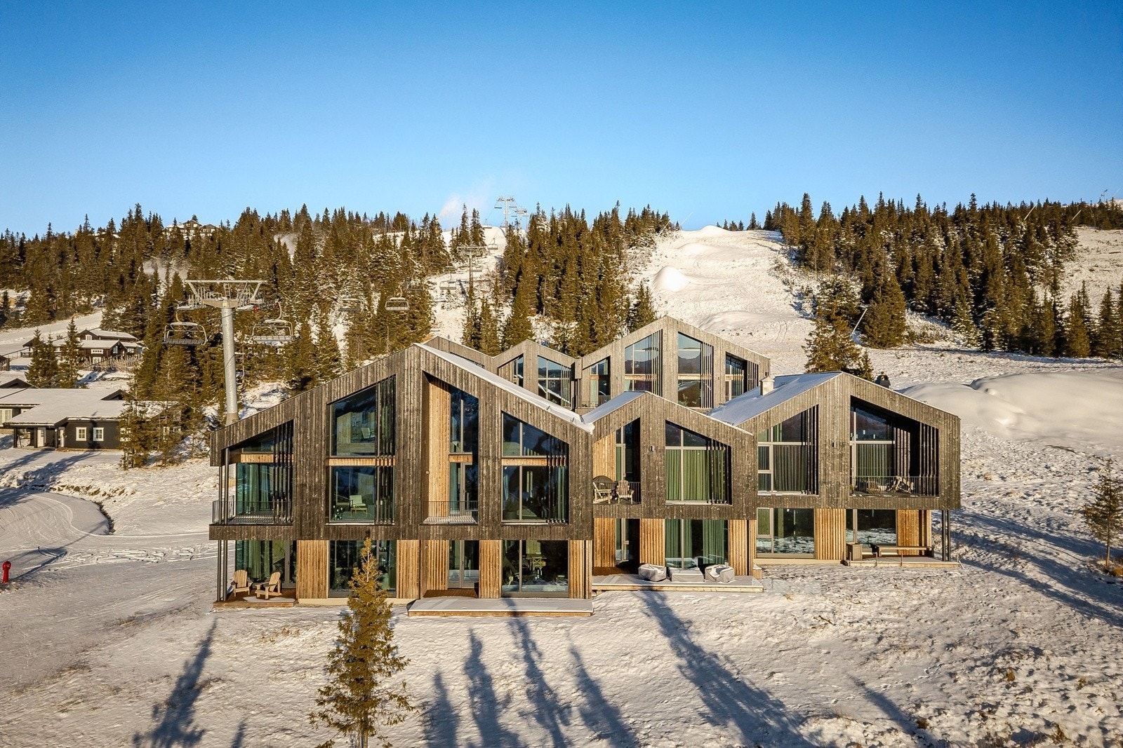 Gode solforhold. Galleribilde