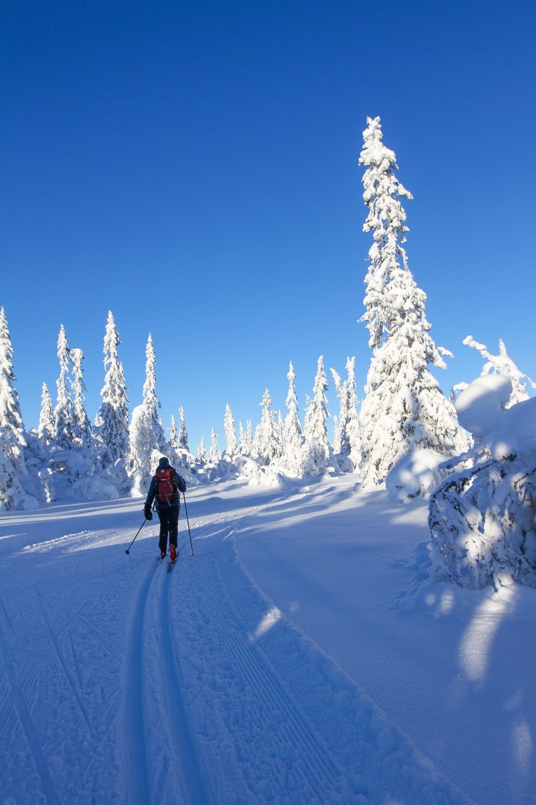 Eventyrløypa er en spektakulær langrennsopplevelse i Hallingdal - en 115 km lang tur som strekker seg fra Hemsedal til Flå, gjennom Golsfjellet og Nesbyen. Den er kjent som en av Norges vakreste og mest eventyrlige skiturer Galleribilde