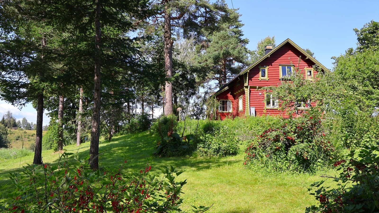 Hageanlegg med plen og variert beplantning. Deler med naturtomt. Galleribilde