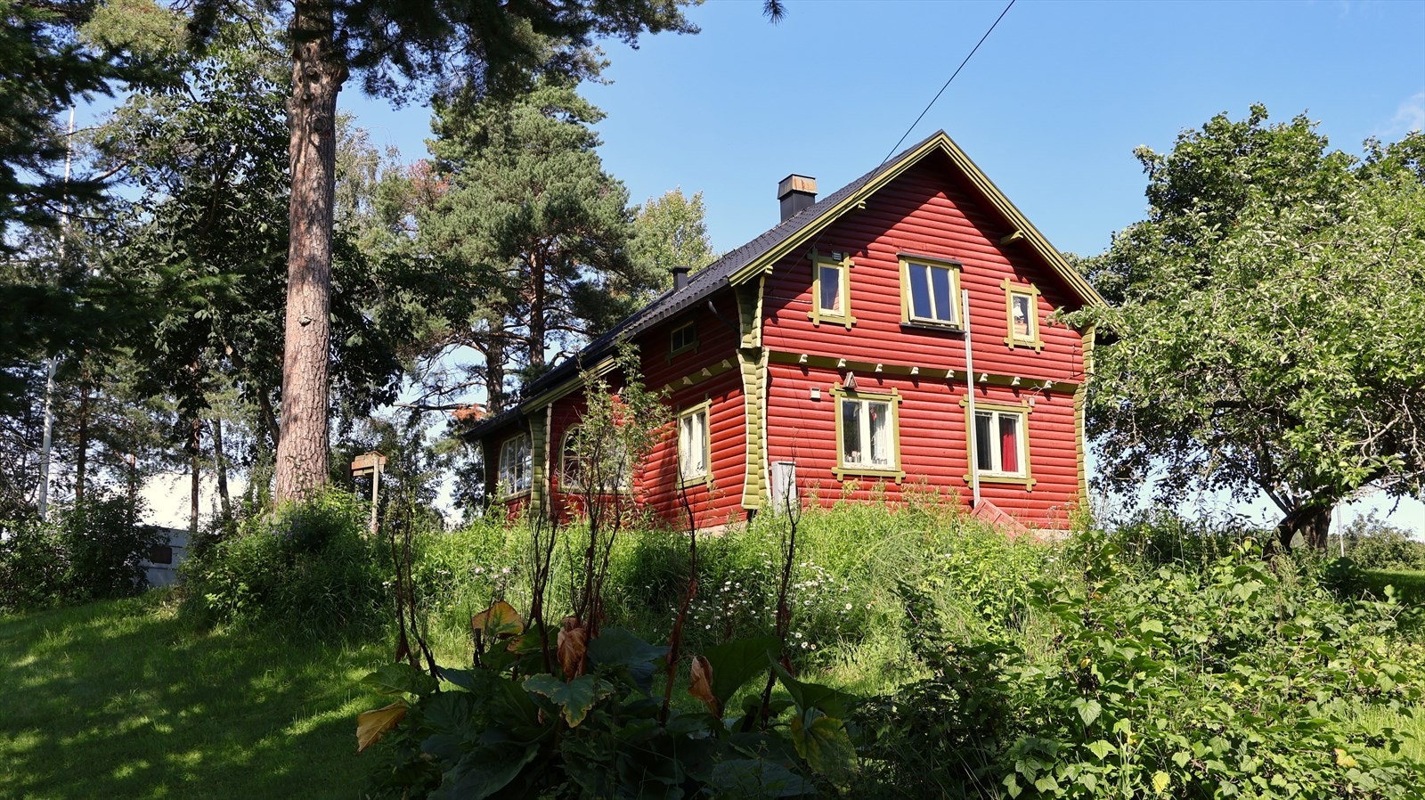 Velkommen til Stavsjø og Tingnesvegen 210! Galleribilde