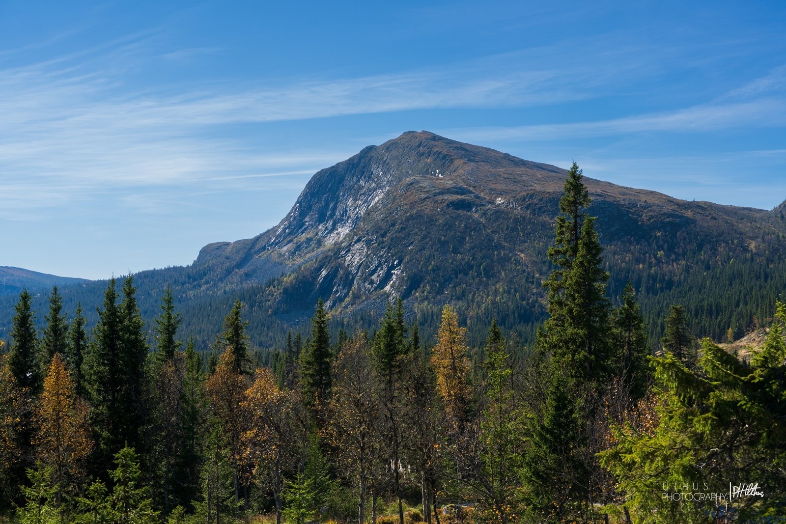 Storslagen utsikt blant annet mot Berghammeren Galleribilde
