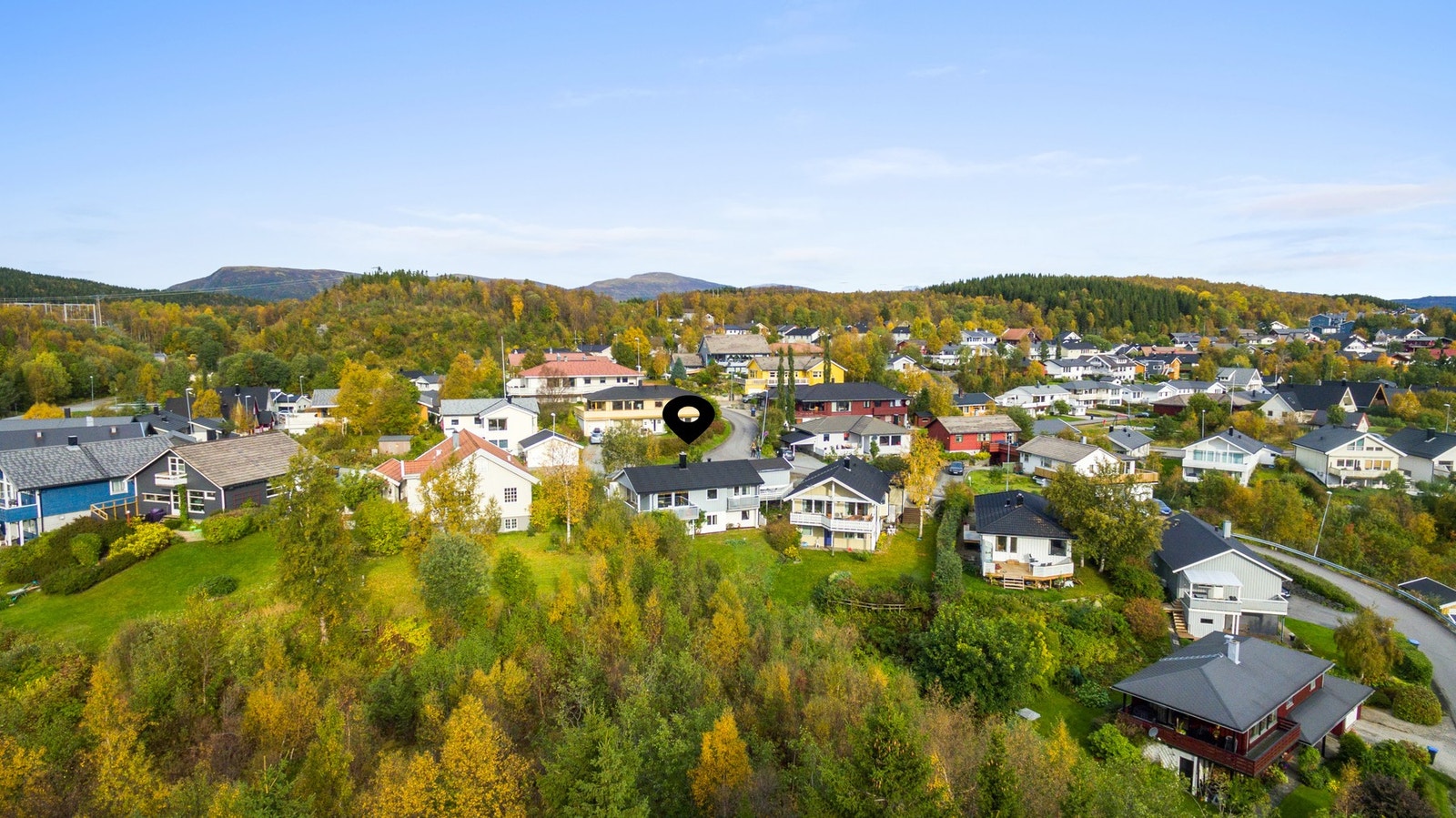 Velkommen til visning! Galleribilde