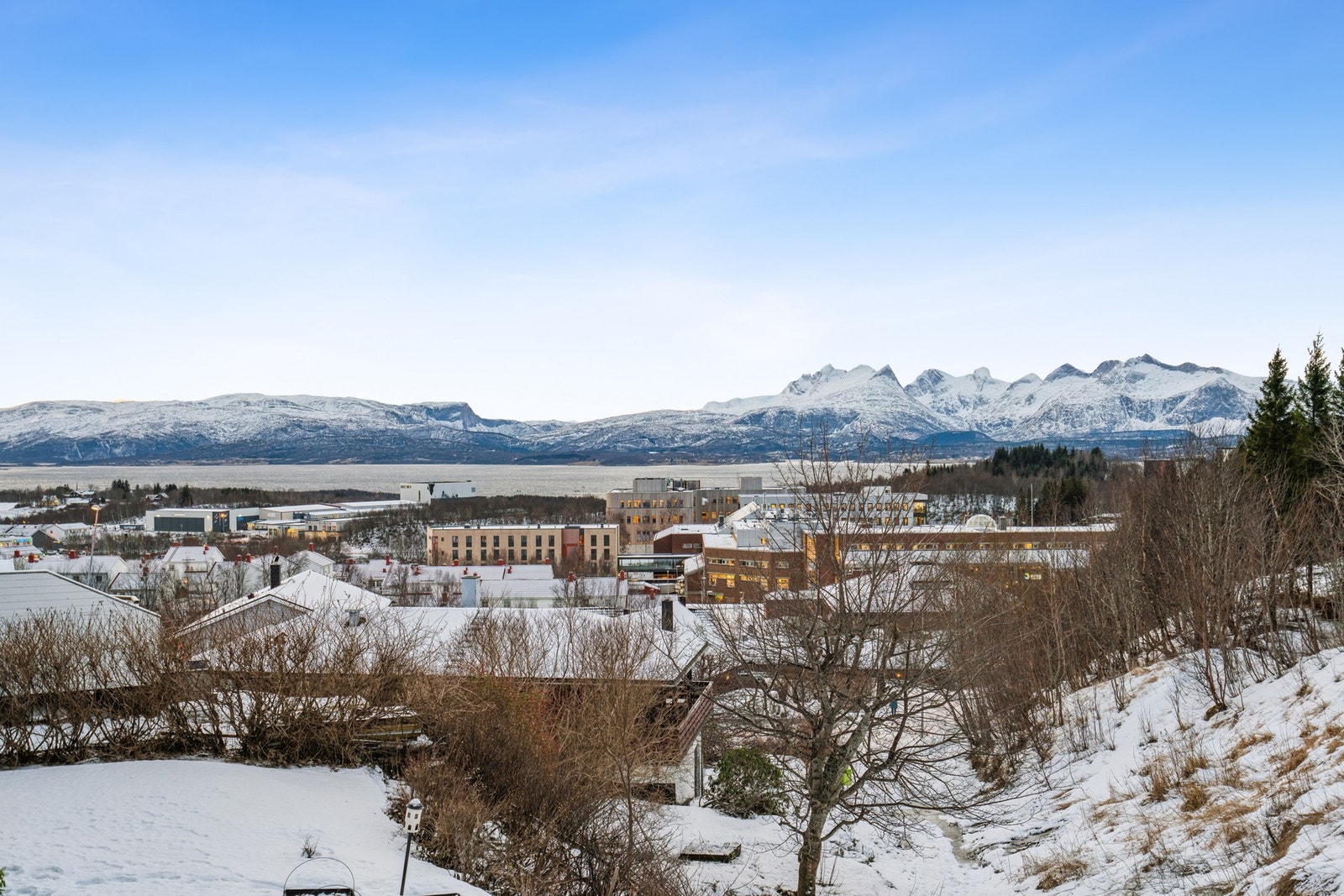 Velkommen til visning! Galleribilde