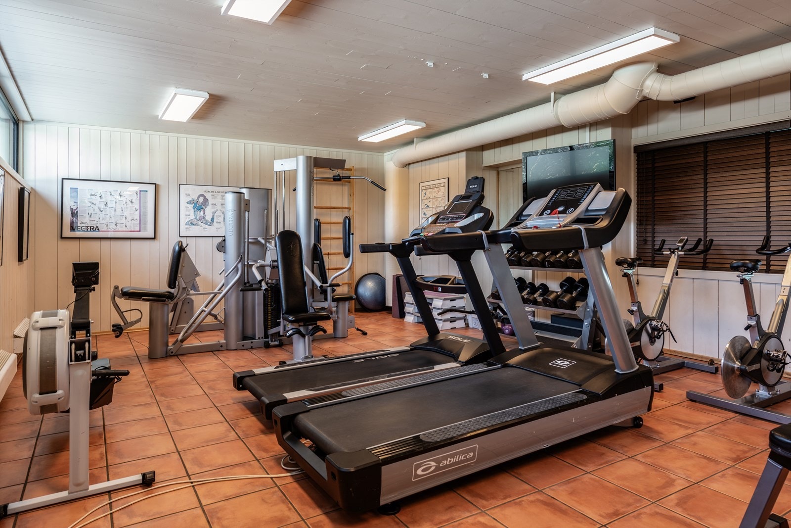 Trimrom Galleribilde