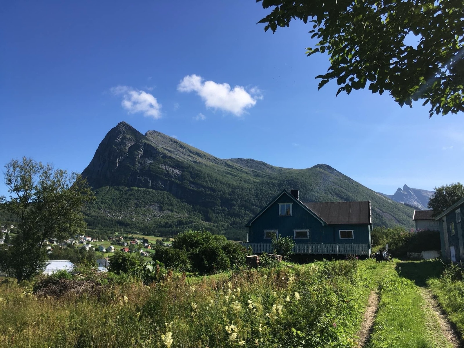 Spilderhesten. Galleribilde