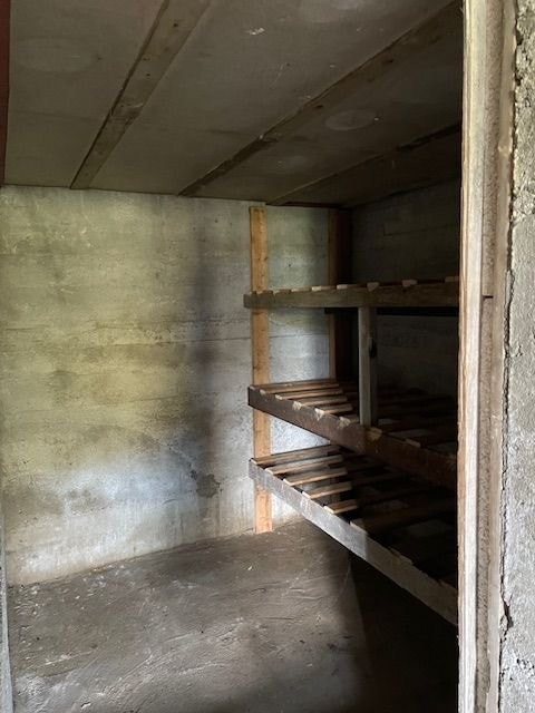 God gammeldags potetkjeller. Galleribilde