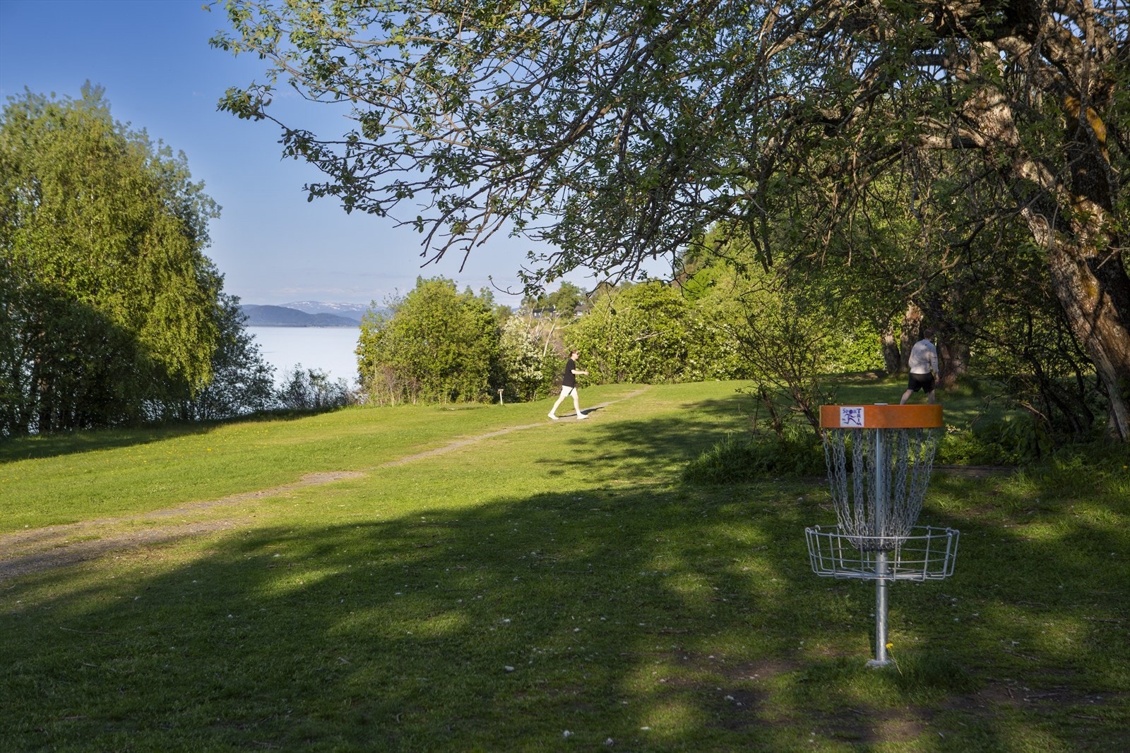 Nærområdet: Liten gåtur ned til Vikhammerløkka Frisbeegolf-bane. Galleribilde