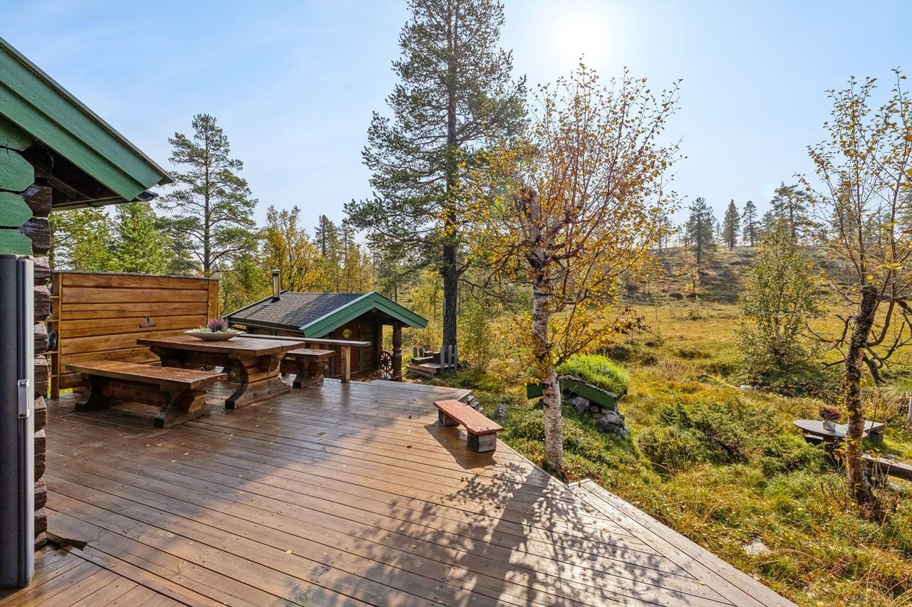 Usjenert og solrikt Galleribilde