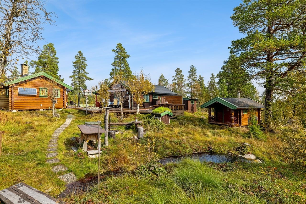 Velkommen til Vinjevegen og til Skarvbrua 18! Galleribilde