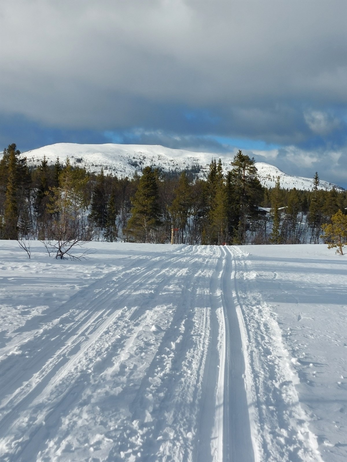 Oppkjørte løyper helt i nærheten. Her med Gråvola i bakgrunnen (Privat foto) Galleribilde