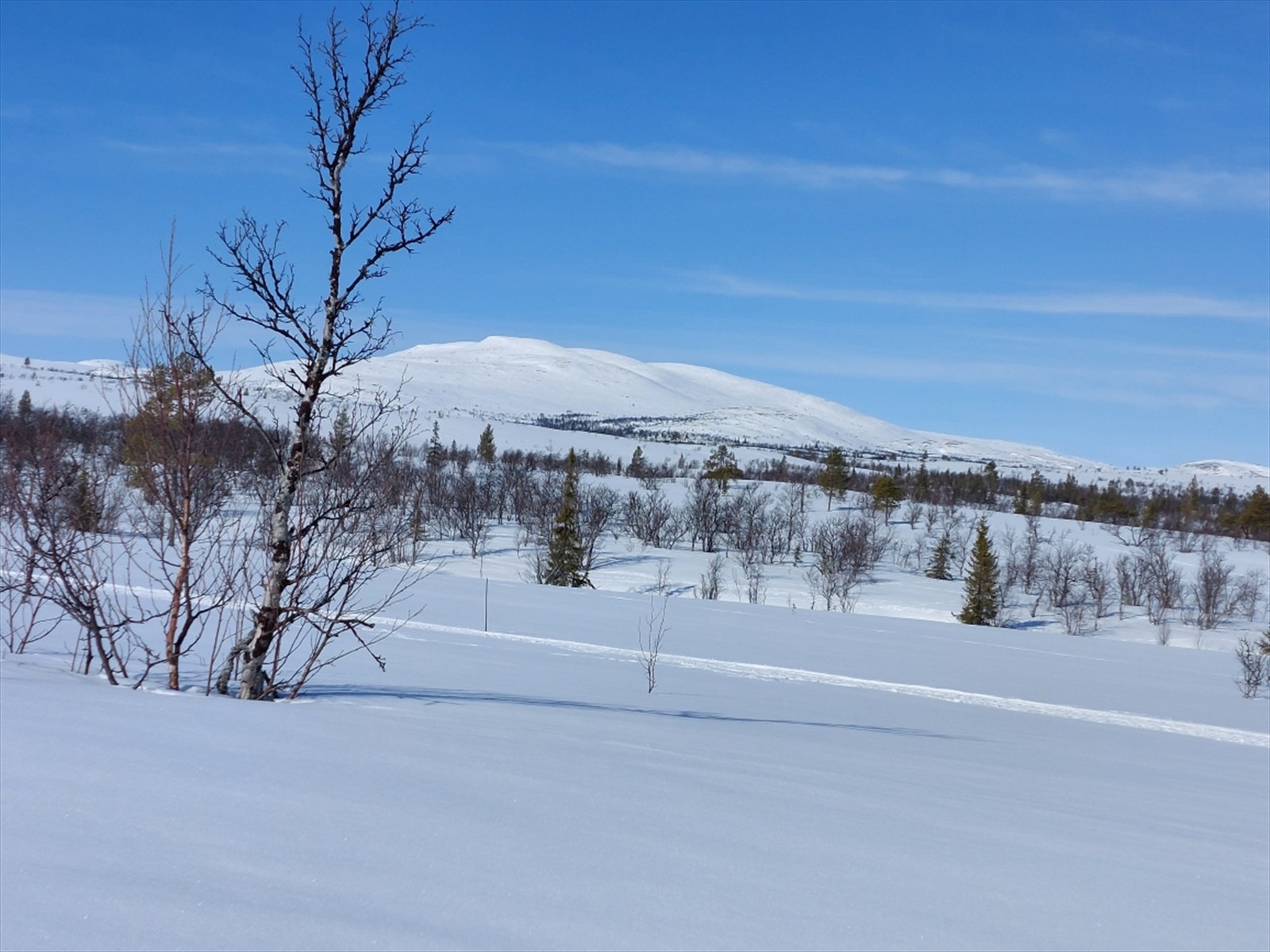 Vakkert fjellterreng mot Famphøgden (Privat foto) Galleribilde