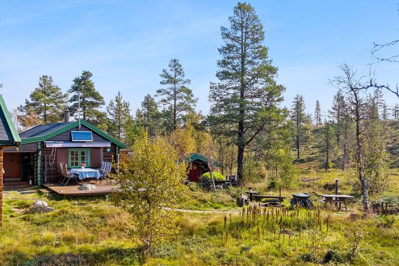 Skarvbrua 18! Galleribilde